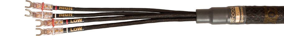 Bifocal XL